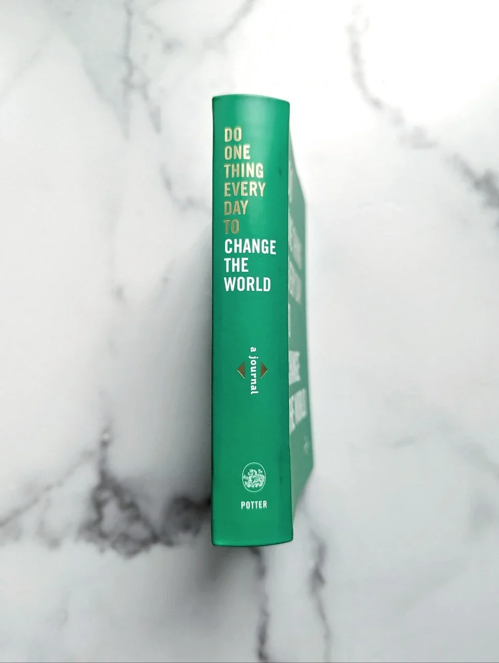 Do One Thing Every Day to Change the World: A Journal